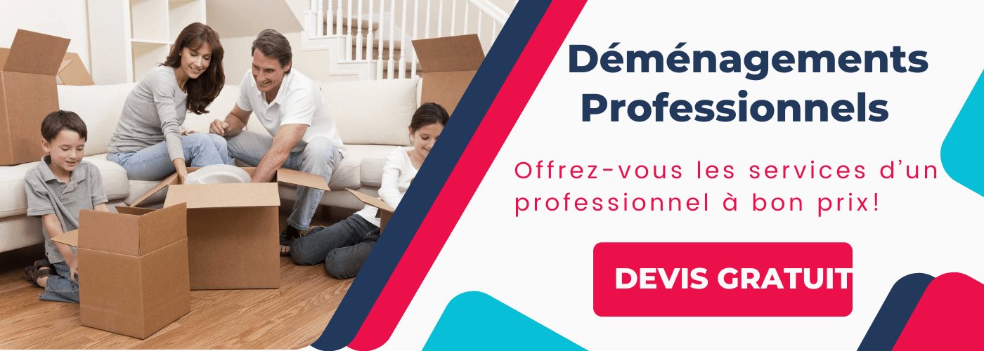 Professionnel & Entreprise de déménagement abordable